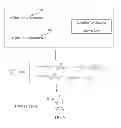 Fig. 07 - Natural language question expansion and extraction
