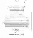 Fig. 10 - Page substitution verification preparation
