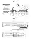 Fig. 12 - MANAGEMENT DEVICE AND MANAGEMENT METHOD