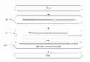 Fig. 01 - Pattern labeling