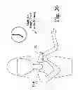 Fig. 30 - Searching methods using genetic responsivity measurements