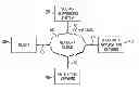 Fig. 01 - Detecting social graph elements for structured search queries