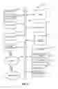 Fig. 05 - Dynamic media content previews