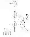 Fig. 37 - SELECTIVE WARM UP AND WIND DOWN STRATEGIES IN A CONTENT DELIVERY FRAMEWORK