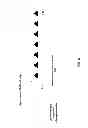 Fig. 07 - Determining available media data for network streaming