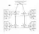 Fig. 01 - MANAGEMENT OF DEVICE MANAGEMENT UNITS