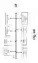 Fig. 12 - MANAGEMENT OF DEVICE MANAGEMENT UNITS