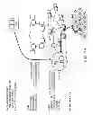 Fig. 08 - Learning machine based detection of abnormal network performance
