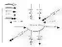 Fig. 01 - Invalidation in a content delivery framework