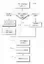 Fig. 01 - Data capture and identification system and process