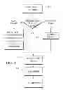 Fig. 02 - Data capture and identification system and process