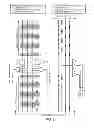 Fig. 06 - Hybrid dynamic-static encoder with optional hit and/or multi-hit detection