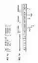 Fig. 09 - Very-long instruction word (VLIW) processor and compiler for executing instructions in parallel