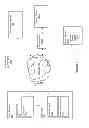 Fig. 02 - Securing Communication over a Network Using User Identity Verification