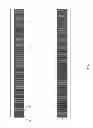 Fig. 07 - Memory architecture for layered low-density parity-check decoder