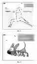 Fig. 06 - METHOD AND DEVICE FOR CREATING DIRECT INDEX OF CONTENT