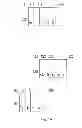 Fig. 02 - METHOD AND A SYSTEM FOR GENERATING A GRAPHICAL USER INTERFACE
