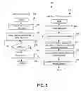 Fig. 09 - Application runtime expert for deployment of an application on multiple computer systems