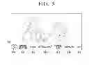 Fig. 06 - Electronic apparatus and method of controlling electronic apparatus