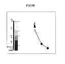 Fig. 07 - MOBILE COMMUNICATION TERMINAL, MOBILE COMMUNICATION METHOD, MOBILE COMMUNICATION PROGRAM, AND RECORDING MEDIUM