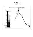 Fig. 09 - MOBILE COMMUNICATION TERMINAL, MOBILE COMMUNICATION METHOD, MOBILE COMMUNICATION PROGRAM, AND RECORDING MEDIUM