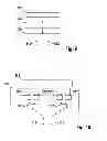 Fig. 08 - METHOD FOR SECURELY CHECKING A CODE