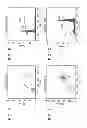 Fig. 02 - GENOMICALLY MULTIPLIED RAPESEED PLANTS, COMPOSITIONS DERIVED THEREFROM AND USES OF SAME
