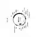 Fig. 05 - Drought tolerant plants and related constructs and methods involving genes encoding DTP6 polypeptides