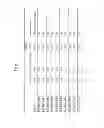 Fig. 17 - ENZYMES FOR THE TREATMENT OF LIGNOCELLULOSICS, NUCLEIC ACIDS ENCODING THEM AND METHODS FOR MAKING AND USING THEM