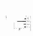 Fig. 30 - ENZYMES FOR THE TREATMENT OF LIGNOCELLULOSICS, NUCLEIC ACIDS ENCODING THEM AND METHODS FOR MAKING AND USING THEM