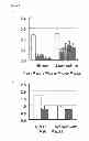 Fig. 08 - Transgenic plants with improved growth and nitrogen use efficiency