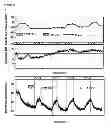 Fig. 10 - Transgenic plants with improved growth and nitrogen use efficiency