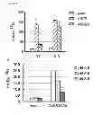 Fig. 11 - Transgenic plants with improved growth and nitrogen use efficiency