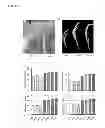 Fig. 18 - Transgenic plants with improved growth and nitrogen use efficiency