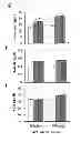 Fig. 24 - Transgenic plants with improved growth and nitrogen use efficiency