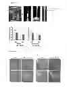 Fig. 25 - Transgenic plants with improved growth and nitrogen use efficiency