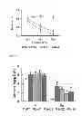 Fig. 26 - Transgenic plants with improved growth and nitrogen use efficiency
