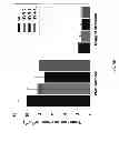 Fig. 07 - CROP PLANTS WITH IMPROVED WATER USE EFFICIENCY AND GRAIN YIELD AND METHODS OF MAKING THEM