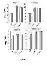 Fig. 13 - CROP PLANTS WITH IMPROVED WATER USE EFFICIENCY AND GRAIN YIELD AND METHODS OF MAKING THEM
