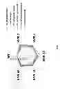 Fig. 14 - CROP PLANTS WITH IMPROVED WATER USE EFFICIENCY AND GRAIN YIELD AND METHODS OF MAKING THEM