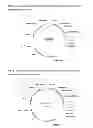 Fig. 02 - Plants with Increased Yield