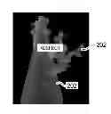 Fig. 01 - Apparatus of analyzing a sample and a method for the same