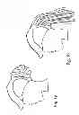 Fig. 02 - Bespoke cap for dreadlocks