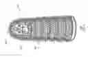 Fig. 06 - Finger mounted toothbrush