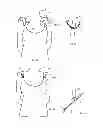 Fig. 08 - METHOD AND APPARATUS FOR ADJUSTING THE FIT AND APPEARANCE OF AN ARTICLE OF APPAREL