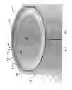 Fig. 04 - Column deluge suppression system