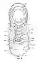 Fig. 09 - Shoe upper having multiple weld zones