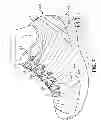 Fig. 08 - Shoe upper having multiple unwelded flex zones
