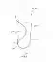Fig. 05 - Shoe having an inflatable bladder