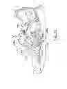 Fig. 20 - Shoe having an inflatable bladder
